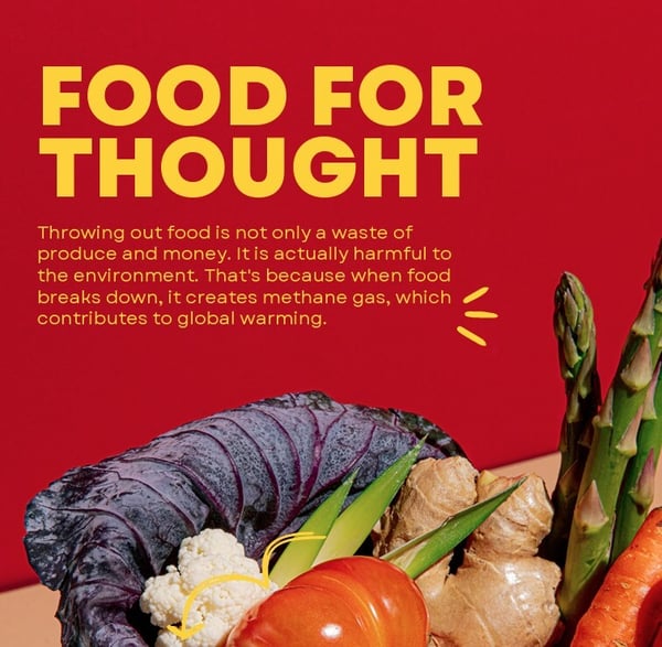 Uni Otago Food waste