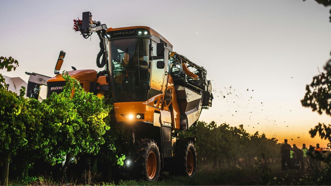 Feeding the soil - vineyards - part 1