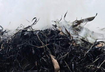 Facts - Smoking Compost Pile