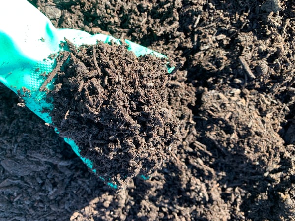 microbiology1 - mature compost