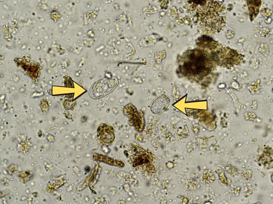 microbiology5