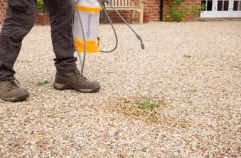week killers - istockphoto-spraying weeds