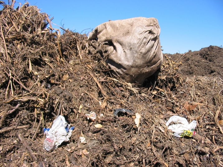 Compost contamination 2