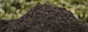 Feeding the soil - part two