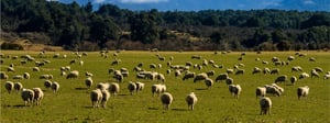 Farm Waste Working Group (1)