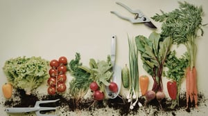 Webinar Tiles - Banner-2