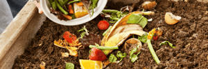Composting Header 1200x400