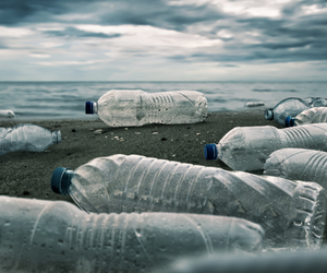plastic pollution