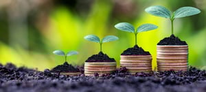 Economic impact