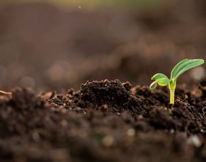 Mar - Webinar - Biochar