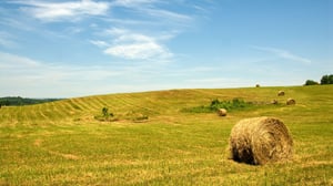 Webinar Tiles - Banner-1