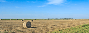 Rural and Farm Waste Webinar